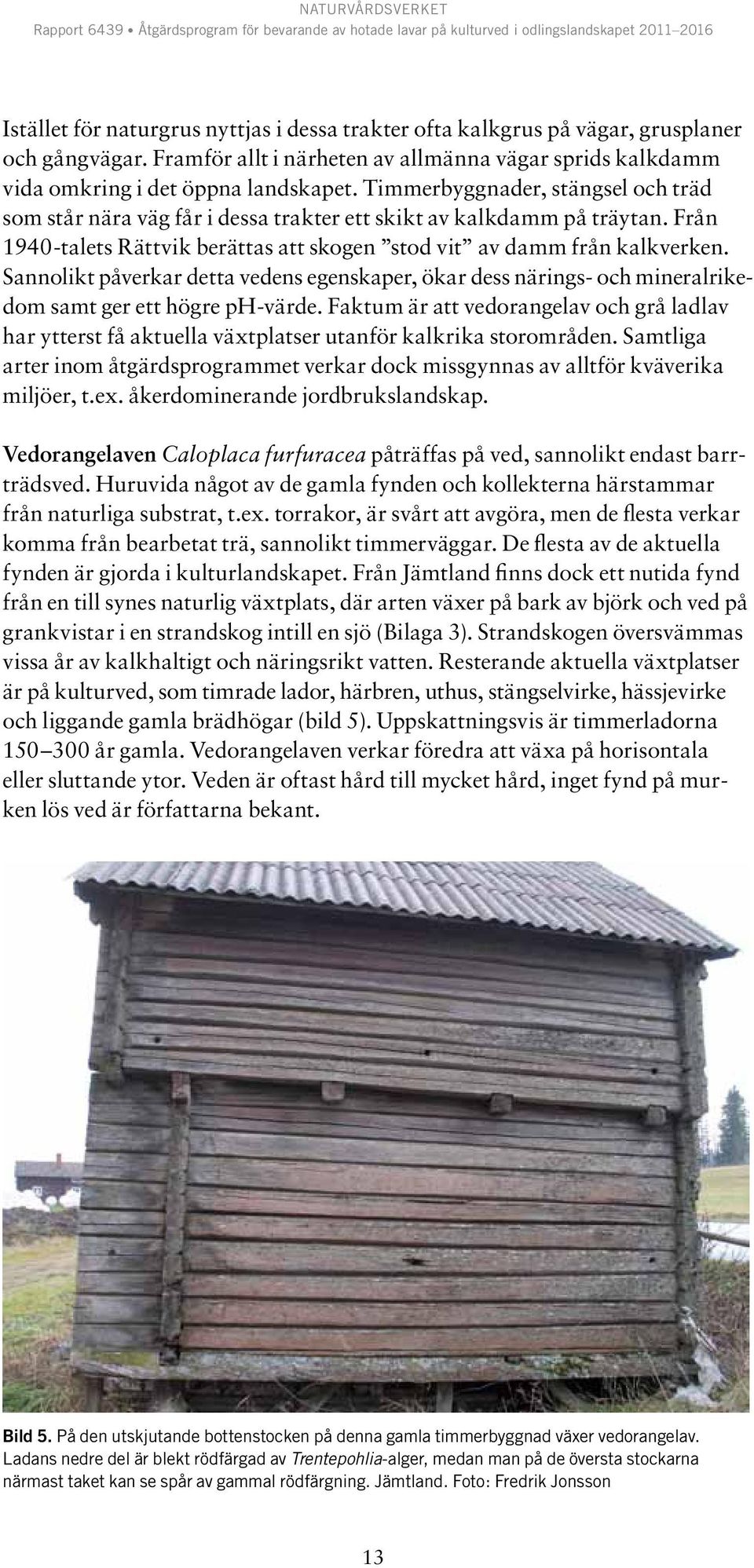 Sannolikt påverkar detta vedens egenskaper, ökar dess närings- och mineralrikedom samt ger ett högre ph-värde.