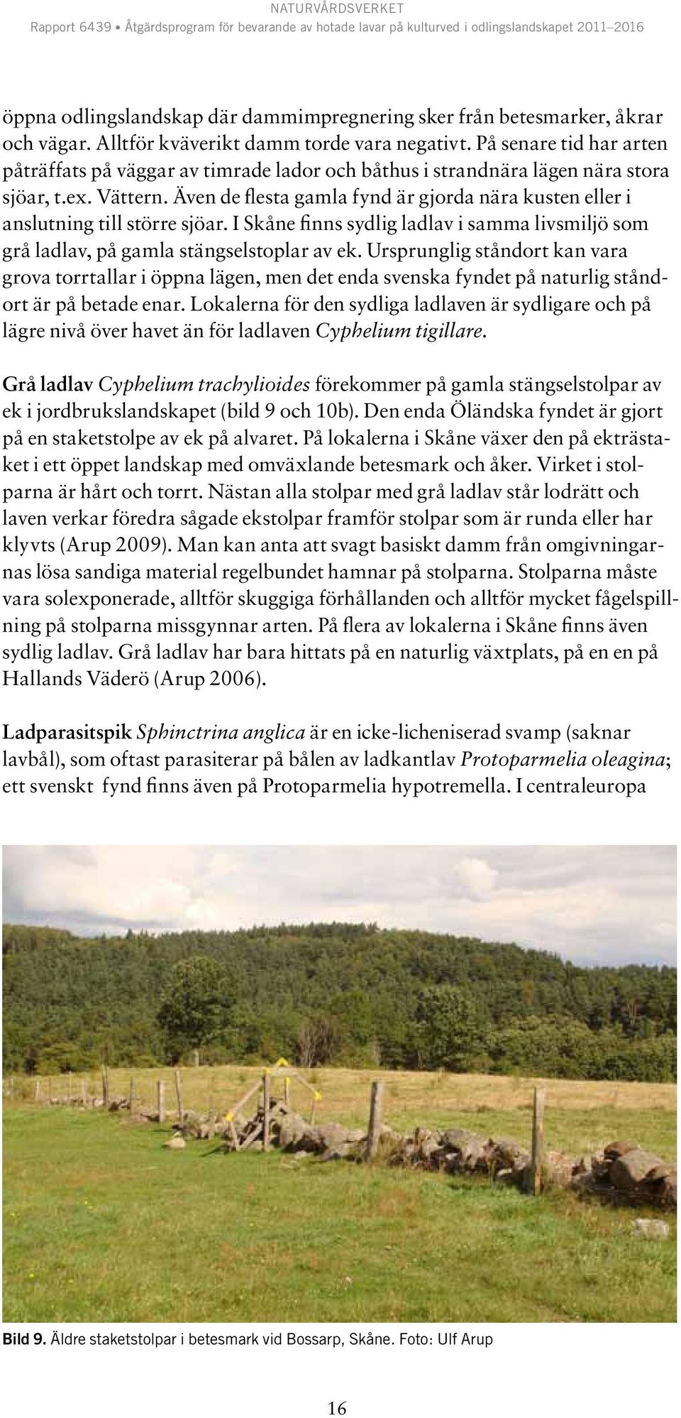 Även de flesta gamla fynd är gjorda nära kusten eller i anslutning till större sjöar. I Skåne finns sydlig ladlav i samma livsmiljö som grå ladlav, på gamla stängselstoplar av ek.