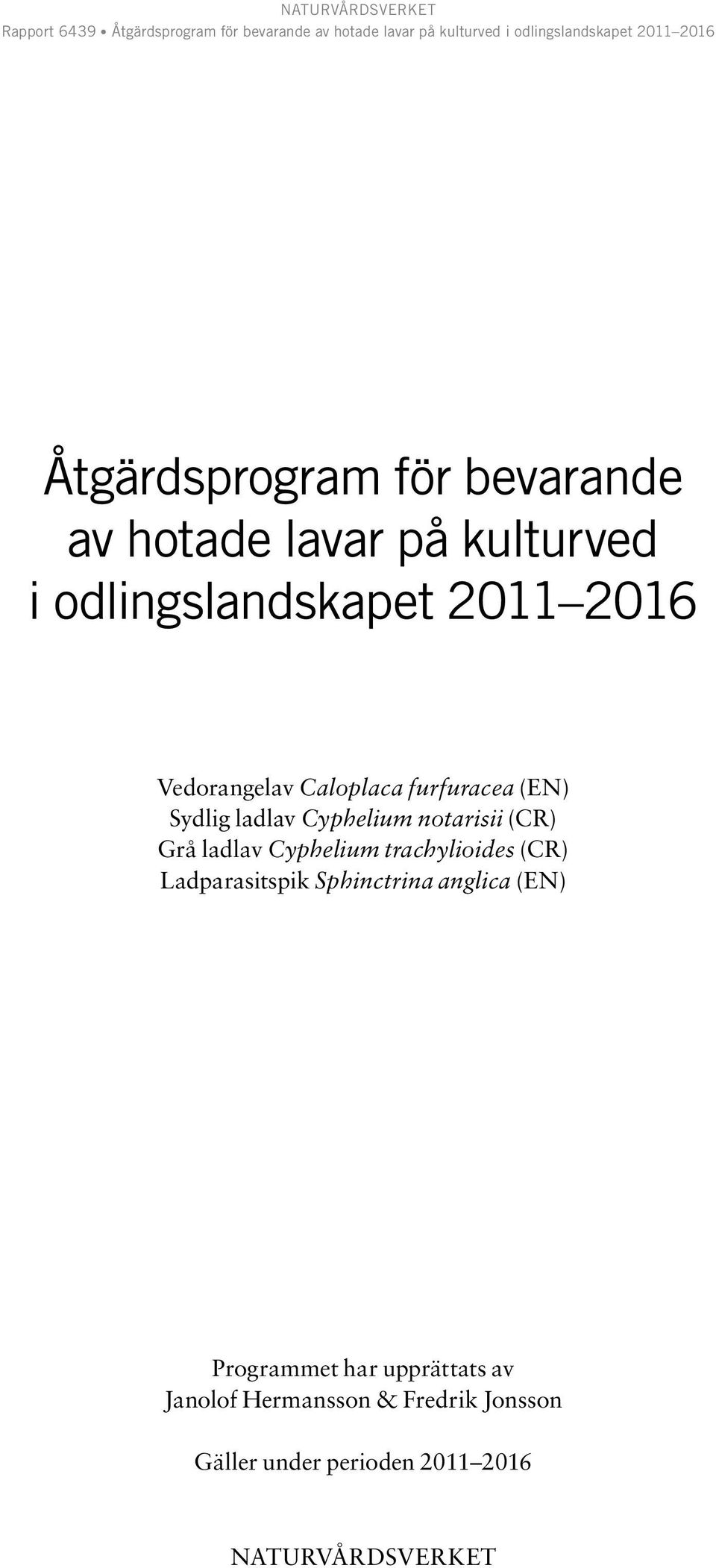 Cyphelium trachylioides (CR) Ladparasitspik Sphinctrina anglica (EN) Programmet har