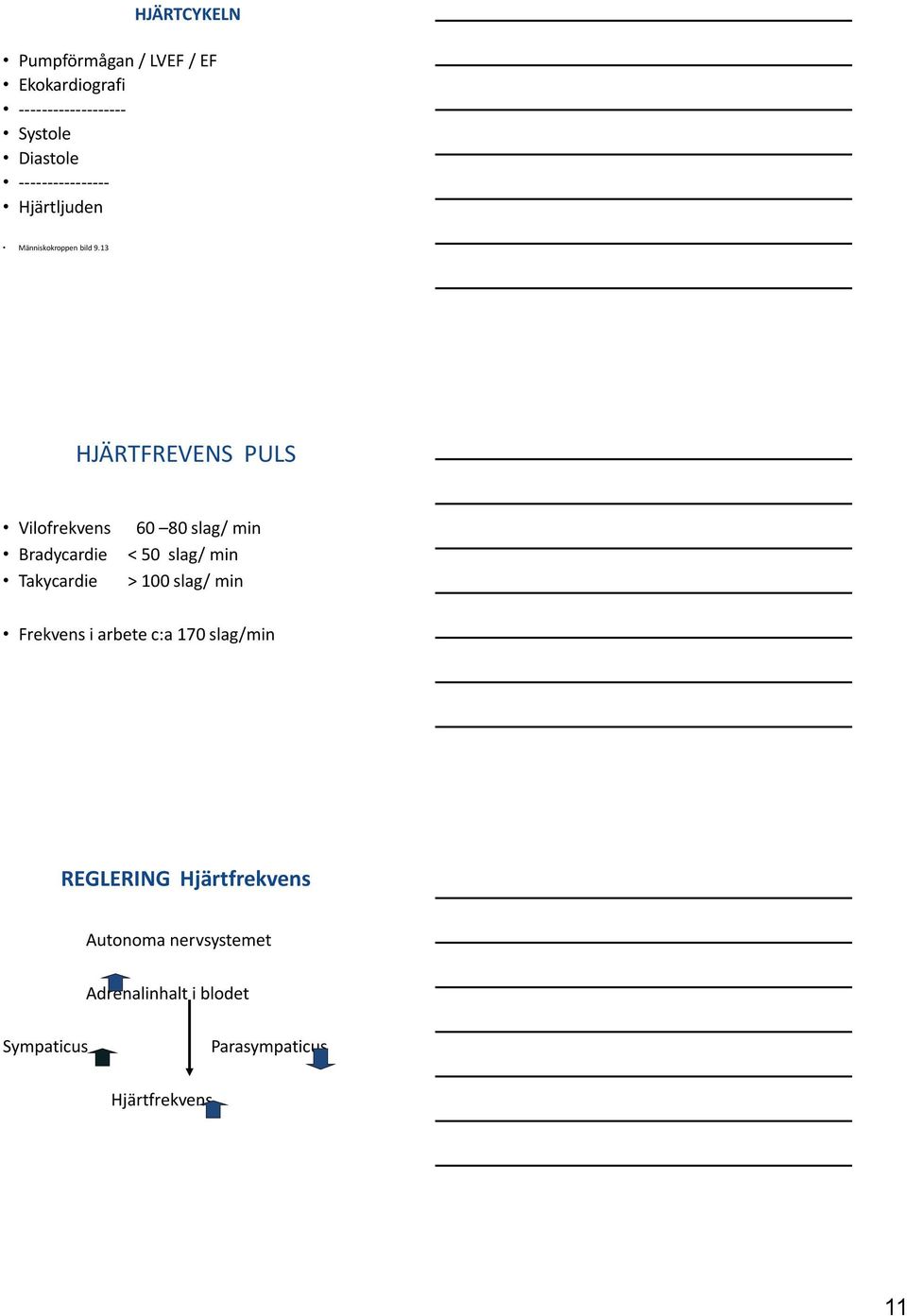 13 HJÄRTFREVENS PULS Vilofrekvens Bradycardie Takycardie 60 80 slag/ min < 50 slag/ min > 100