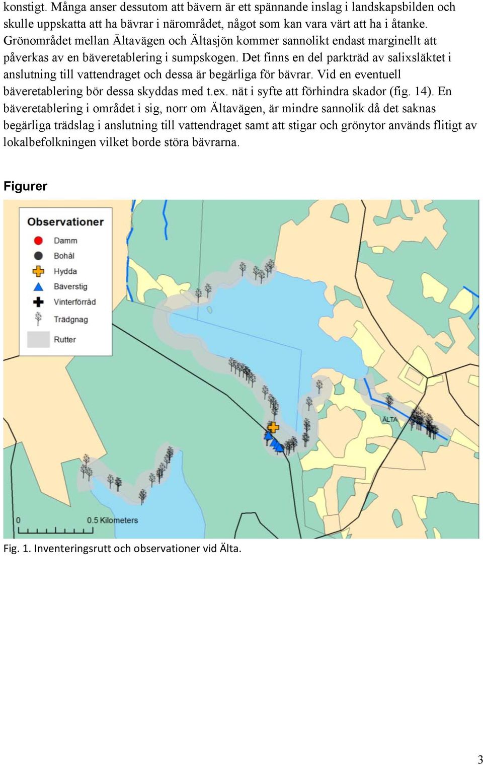 Det finns en del parkträd av salixsläktet i anslutning till vattendraget och dessa är begärliga för bävrar. Vid en eventuell bäveretablering bör dessa skyddas med t.ex.