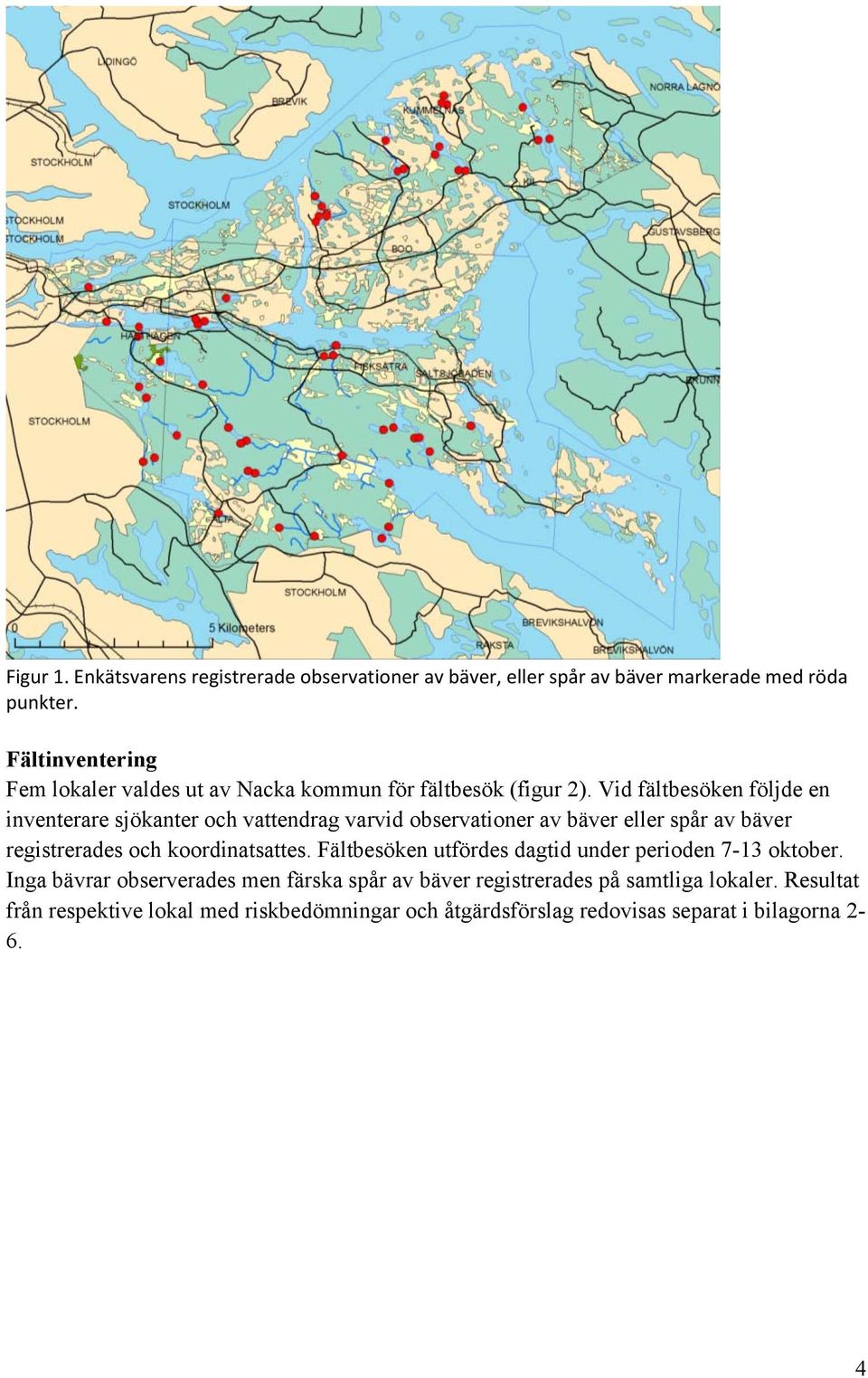 Vid fältbesöken följde en inventerare sjökanter och vattendrag varvid observationer av bäver eller spår av bäver registrerades och