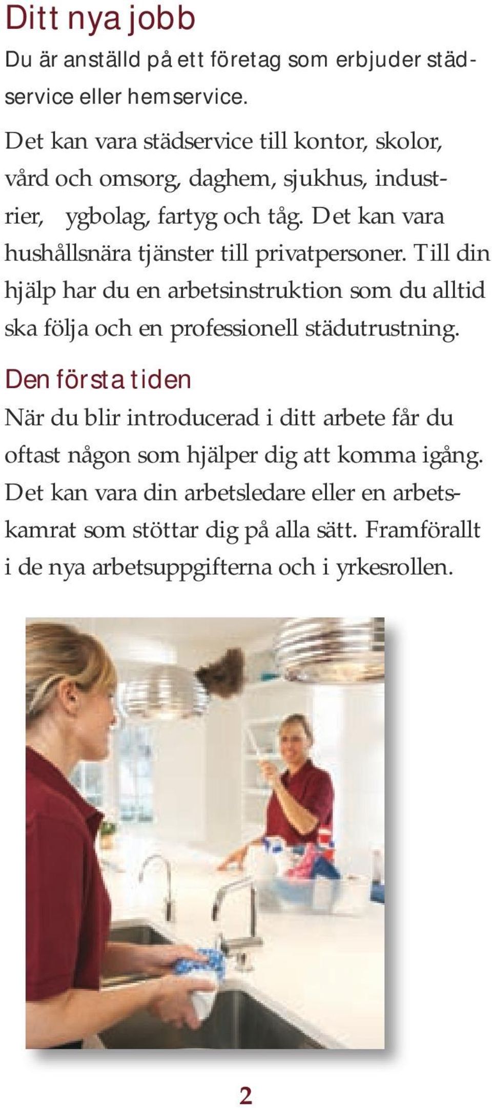 Det kan vara hushållsnära tjänster till privatpersoner.