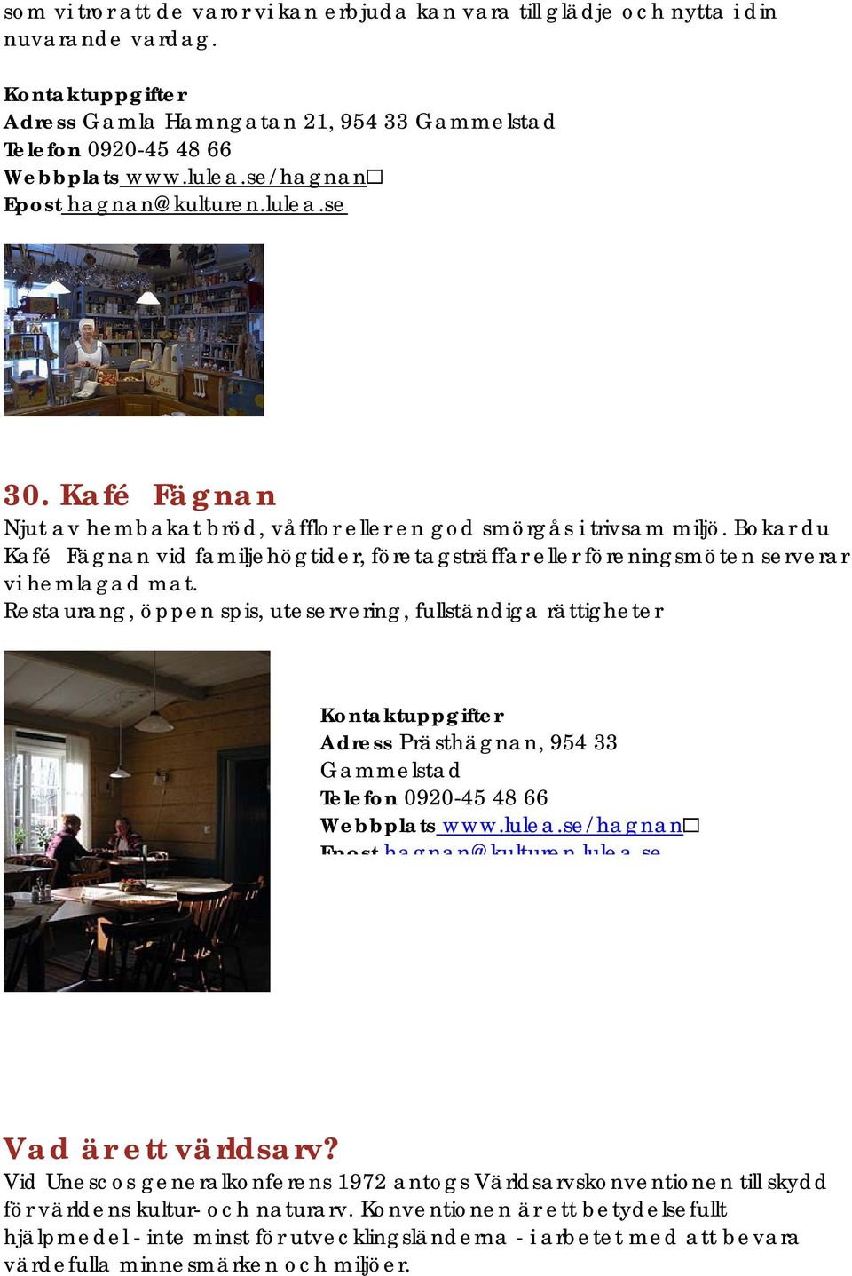 Bokar du Kafé Fägnan vid familjehögtider, företagsträffar eller föreningsmöten serverar vi hemlagad mat.