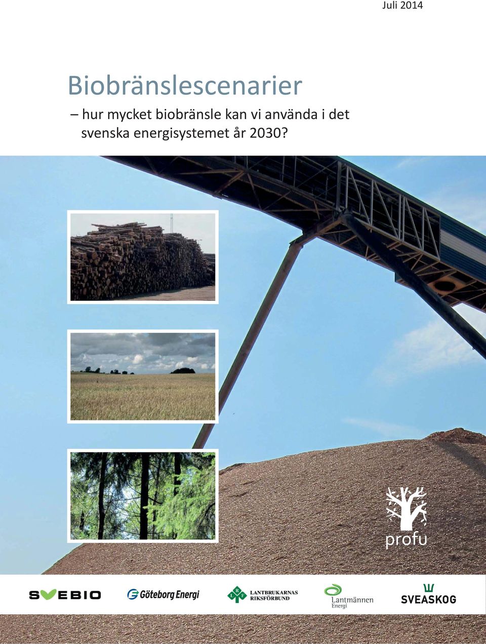 mycket biobränsle kan vi