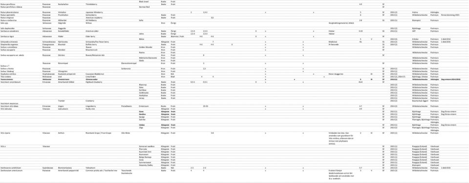 Rosaceae American raspberry Buske Frukt 0,5 Rubus x stellarctius Rosaceae All-fieldberry Allåkerbär Sofia 2-8 SS 2015 (1) Blomqvist Puttmyra Salix spp.