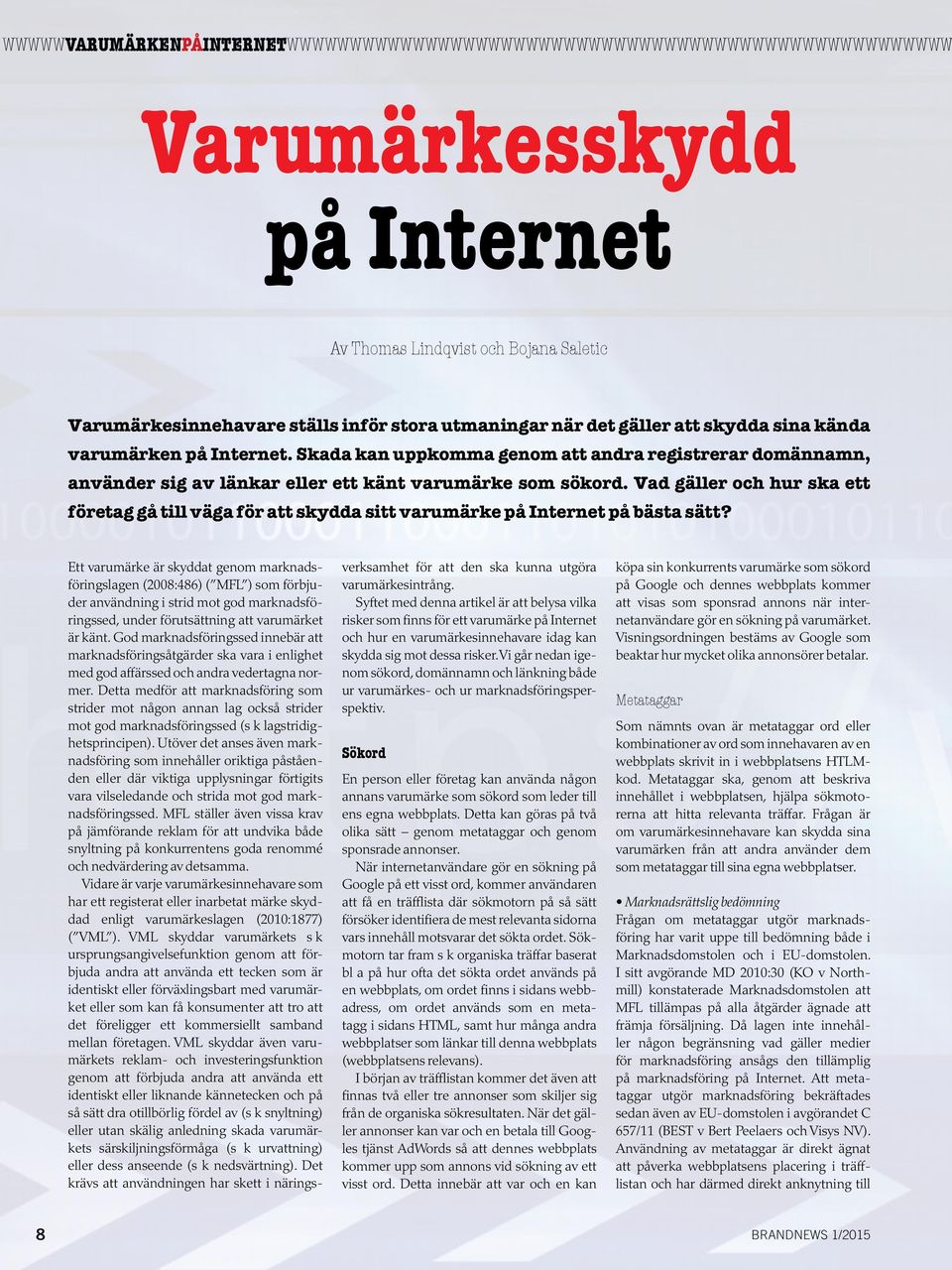 Vad gäller och hur ska ett företag gå till väga för att skydda sitt varumärke på Internet på bästa sätt?