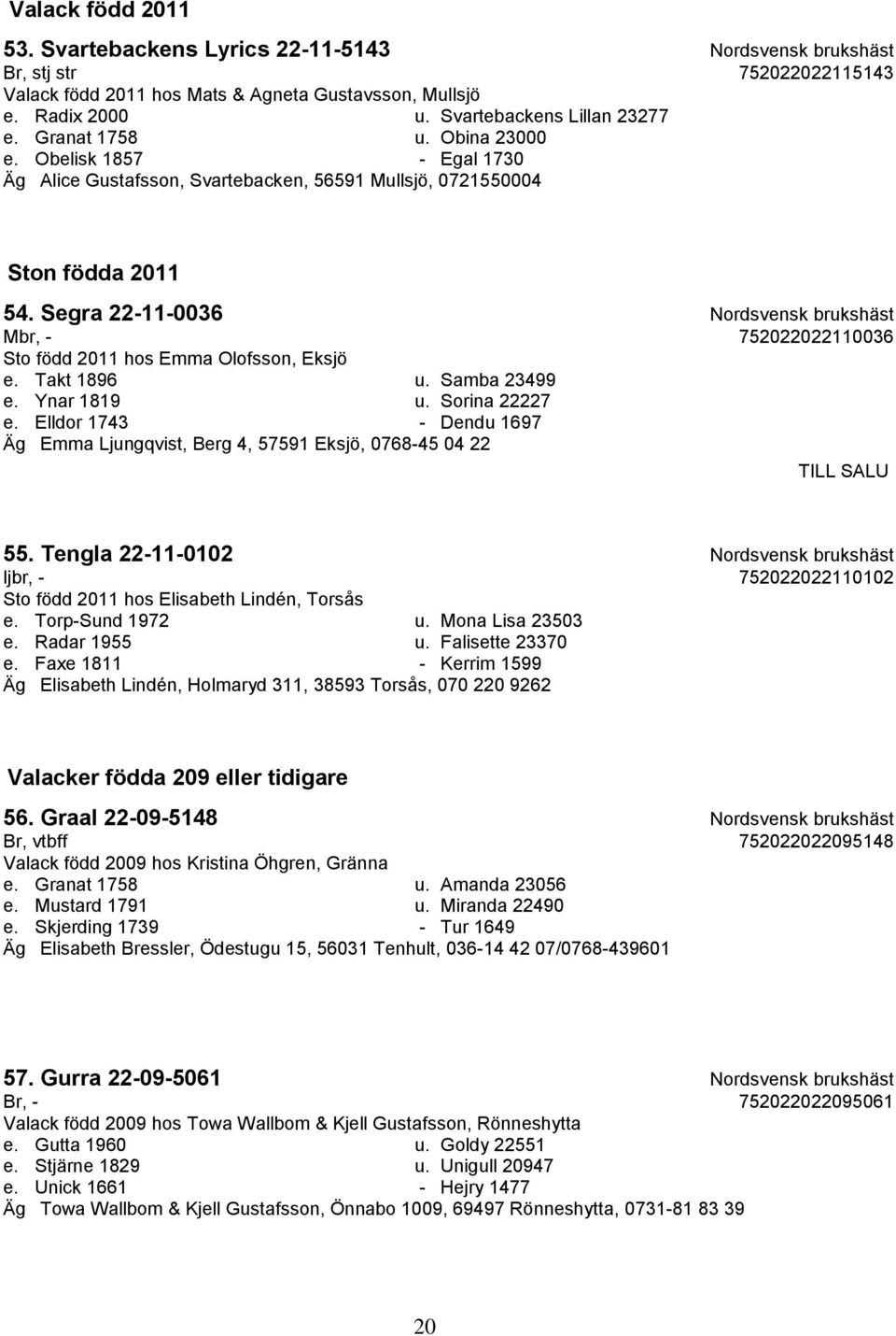 Segra 22-11-0036 Nordsvensk brukshäst Mbr, - 752022022110036 Sto född 2011 hos Emma Olofsson, Eksjö e. Takt 1896 u. Samba 23499 e. Ynar 1819 u. Sorina 22227 e.