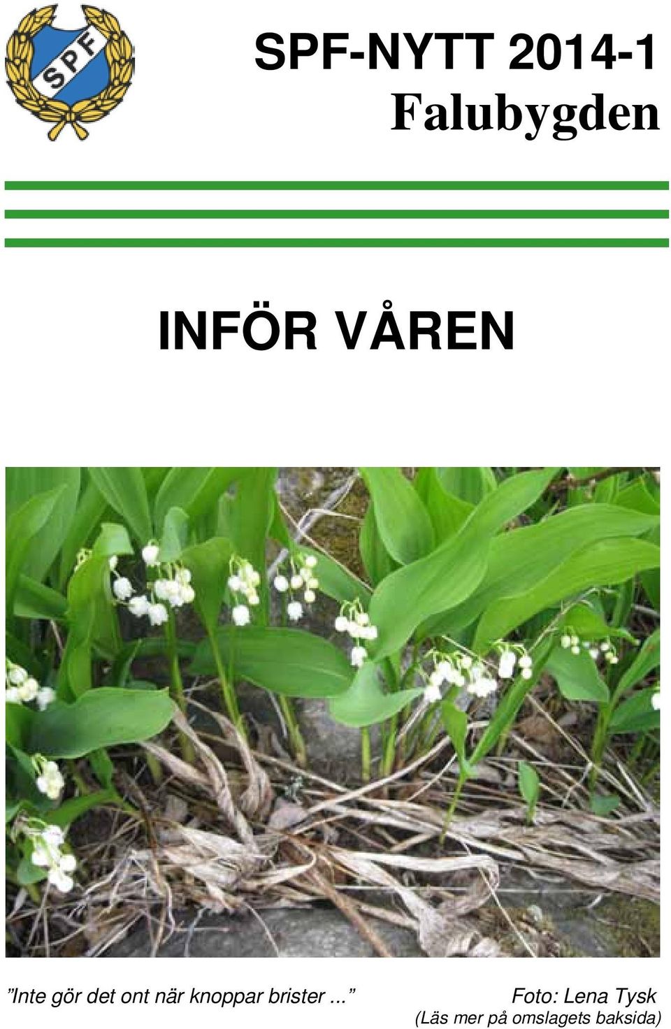 när knoppar brister.