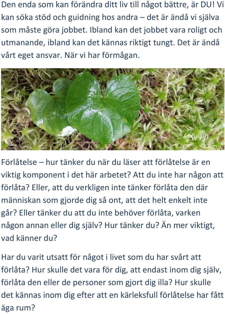 Förlåtelse hur tänker du när du läser att förlåtelse är en viktig komponent i det här arbetet? Att du inte har någon att förlåta?