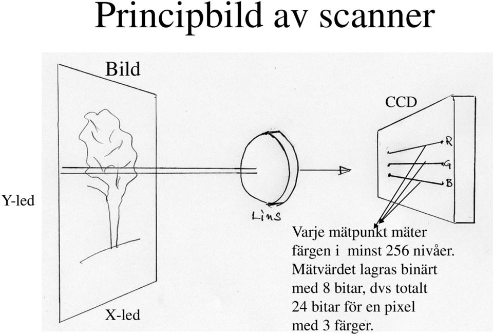 nivåer.