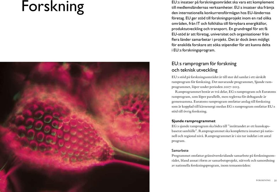 En grundregel för att få EU-stöd är att företag, universitet och organisationer från flera länder samarbetar i projekt.