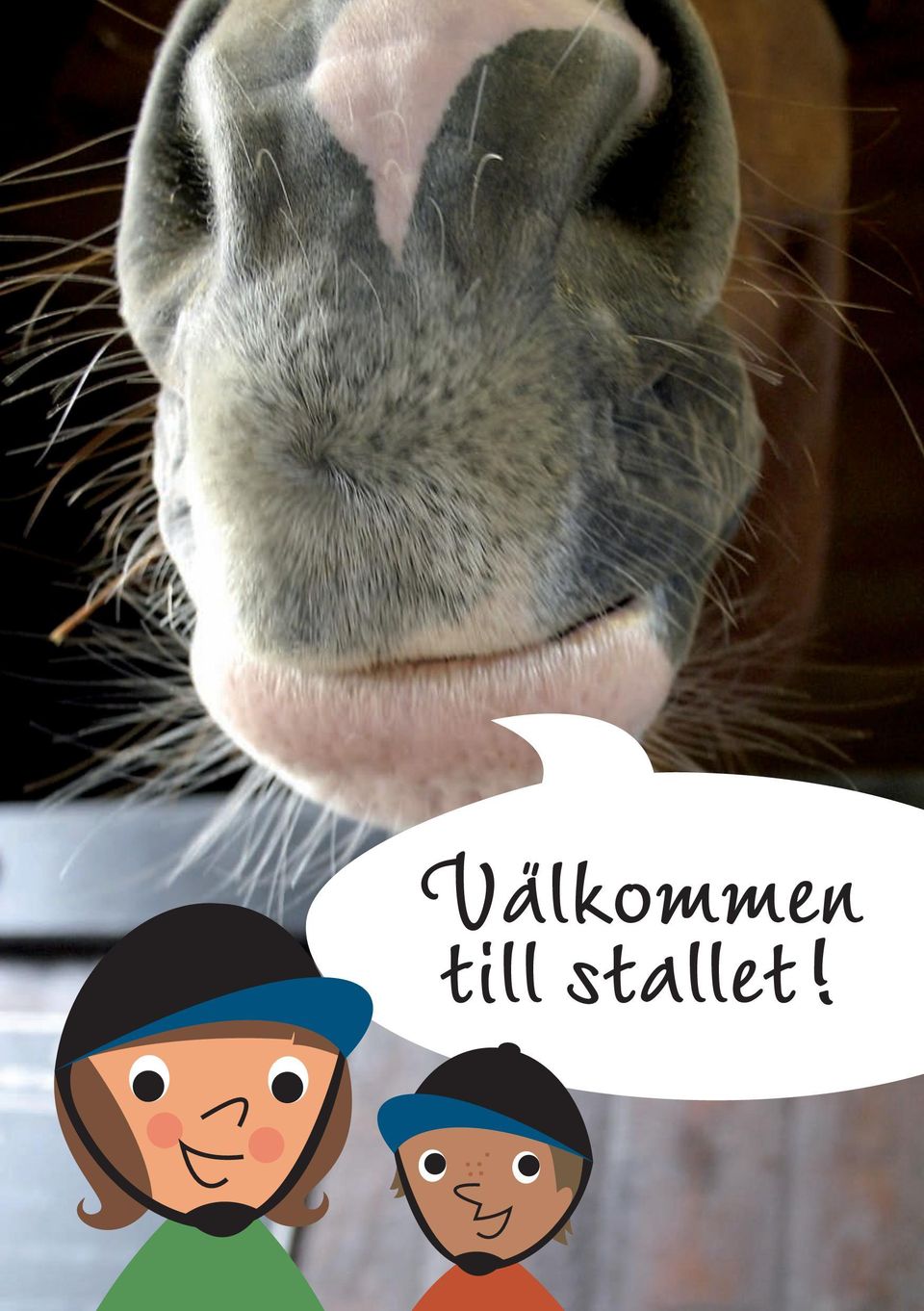 stallet!