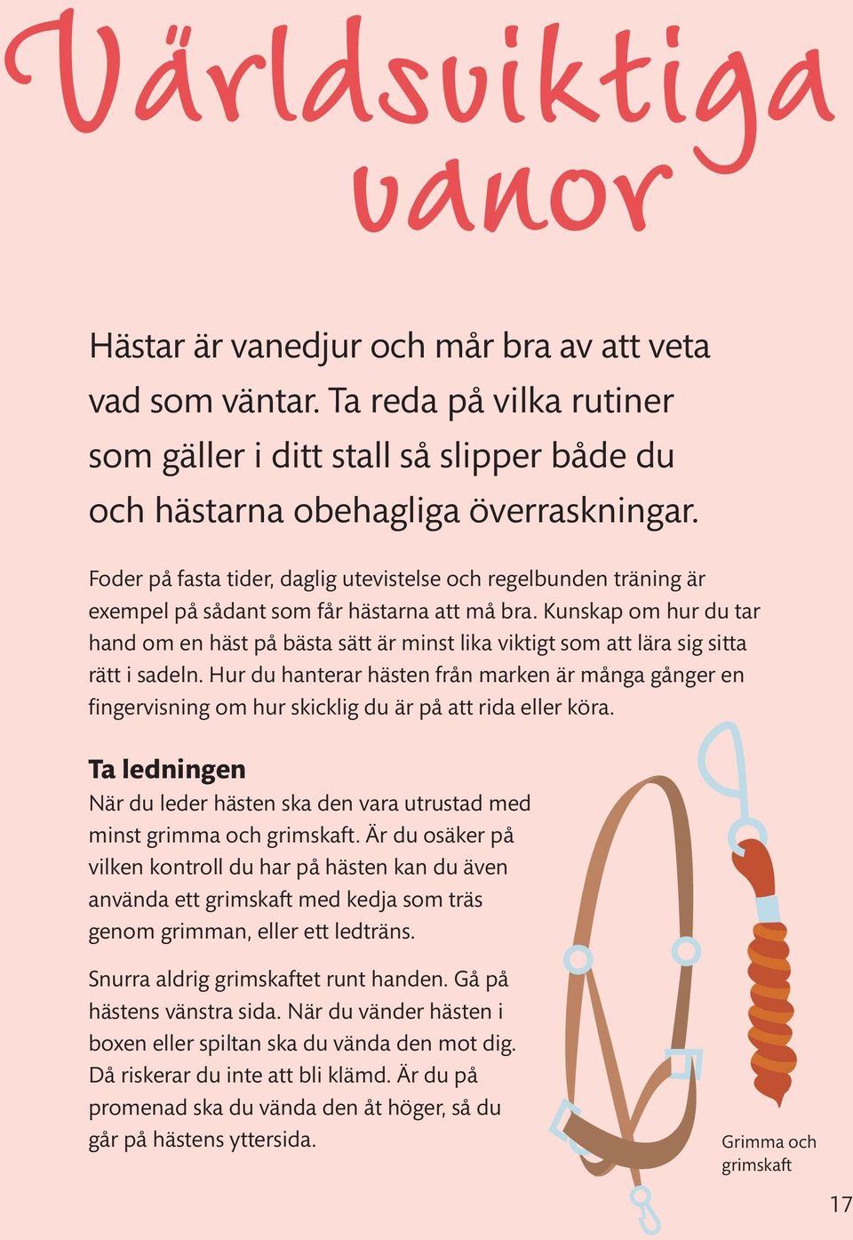 Kunskap om hur du tar hand om en häst på bästa sätt är minst lika viktigt som att lära sig sitta rätt i sadeln.