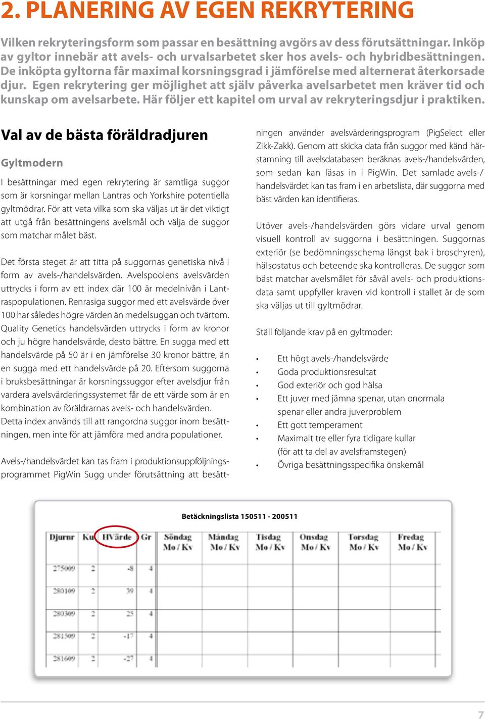 Egen rekrytering ger möjlighet att själv påverka avelsarbetet men kräver tid och kunskap om avelsarbete. Här följer ett kapitel om urval av rekryteringsdjur i praktiken.