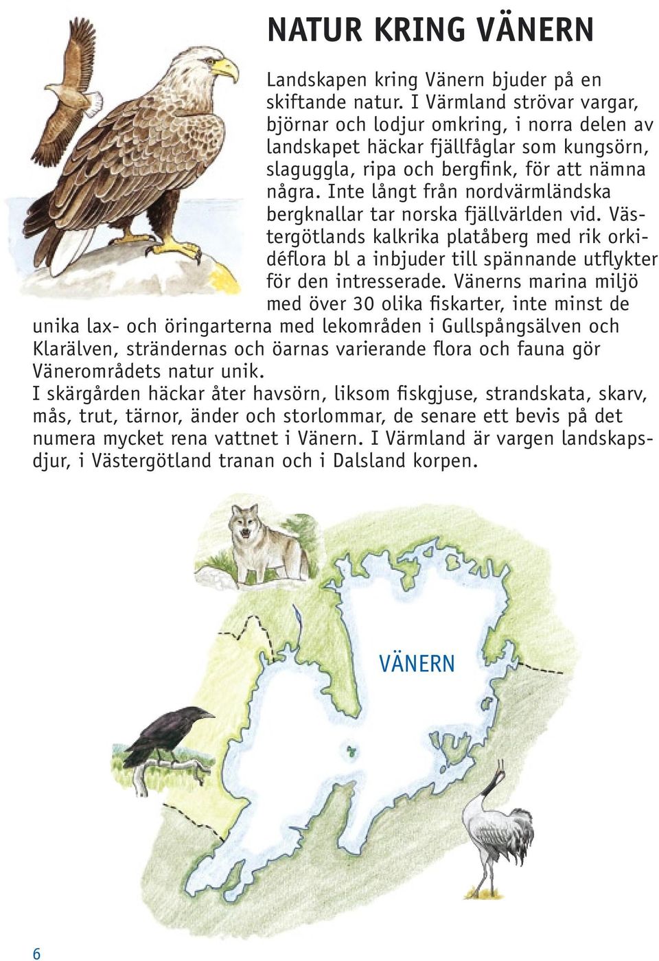 Inte långt från nordvärmländska bergknallar tar norska fjällvärlden vid. Västergötlands kalkrika platåberg med rik orkidéflora bl a inbjuder till spännande utflykter för den intresserade.