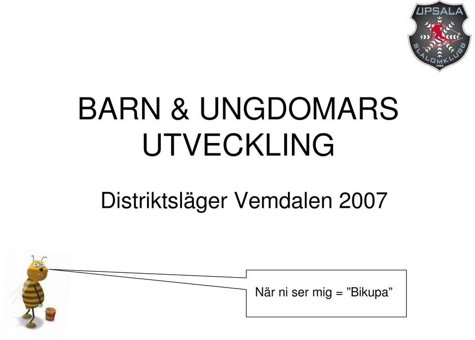 Distriktsläger