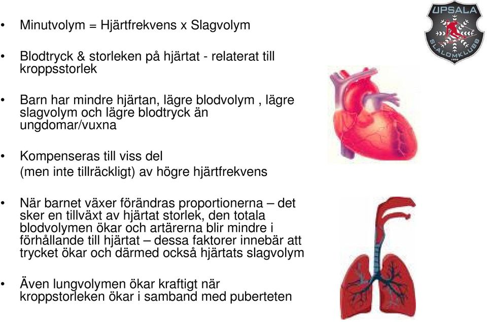 förändras proportionerna det sker en tillväxt av hjärtat storlek, den totala blodvolymen ökar och artärerna blir mindre i förhållande till hjärtat