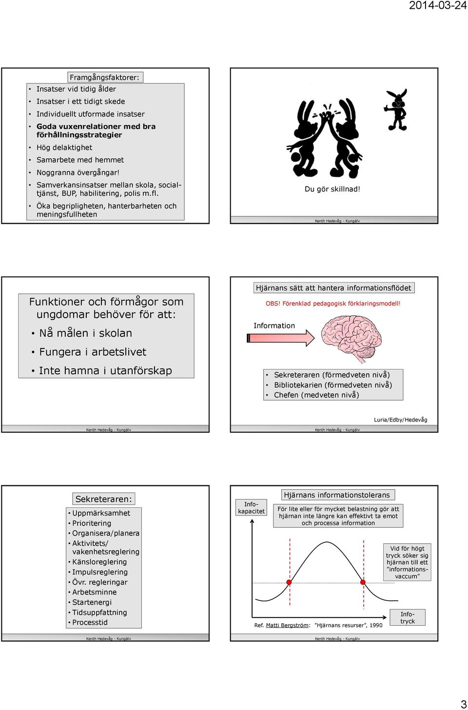 Funktioner och förmågor som ungdomar behöver för att: Nå målen i skolan Fungera i arbetslivet Hjärnans sätt att hantera informationsflödet OBS! Förenklad pedagogisk förklaringsmodell!