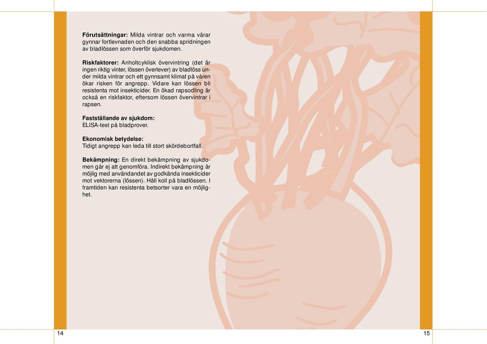 Vidare kan lössen bli resistenta mot insekticider. En ökad rapsodling är också en riskfaktor, eftersom lössen övervintrar i rapsen. Fastställande av sjukdom: ELISA-test på bladprover.