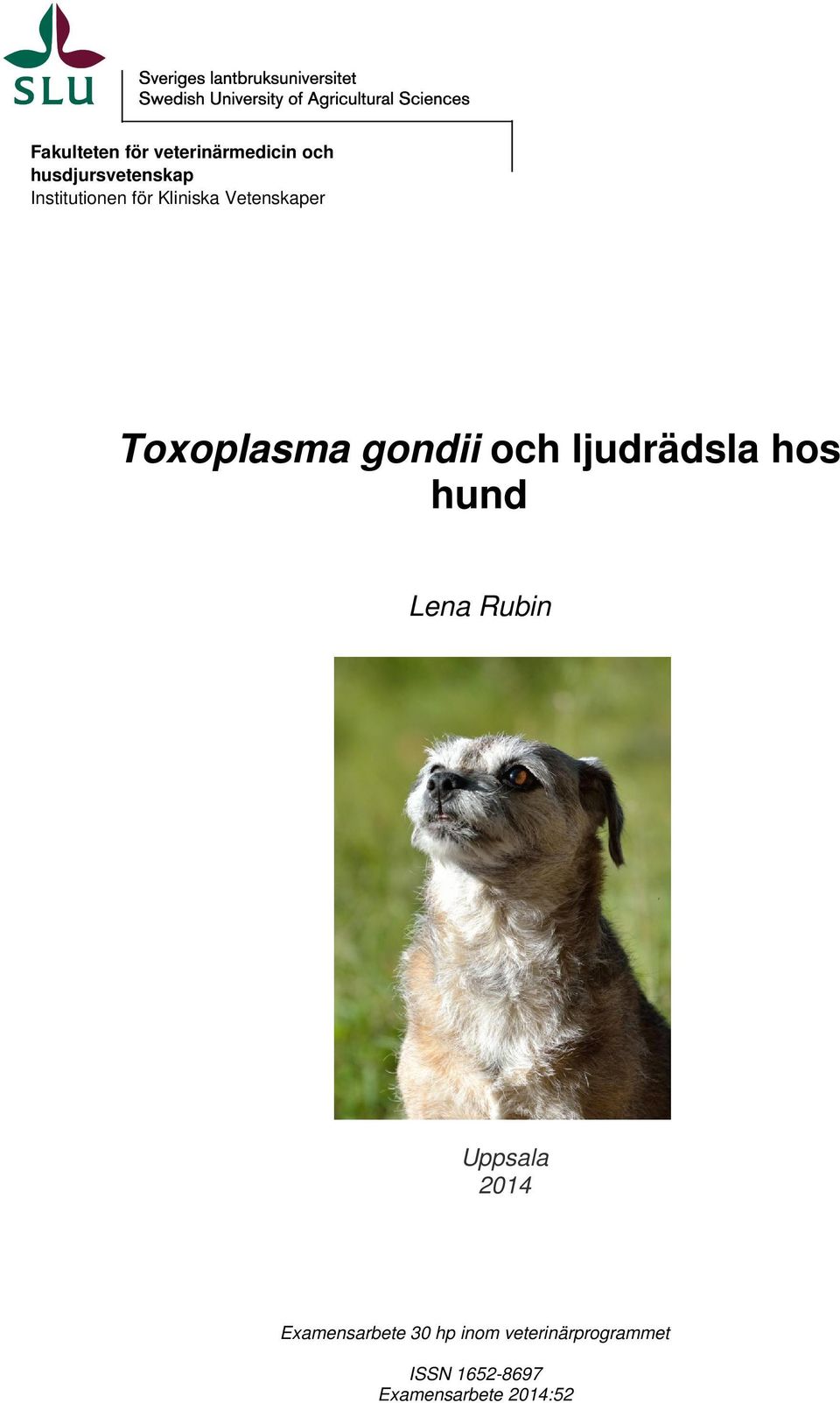 och ljudrädsla hos hund Lena Rubin Uppsala 2014