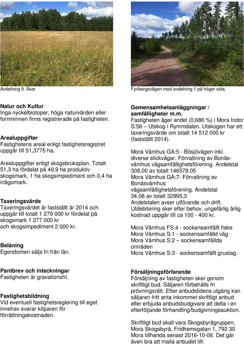 Totalt 51,3 ha fördelat på 49,9 ha produktiv skogsmark, 1 ha skogsimpediment och 0,4 ha inägomark.