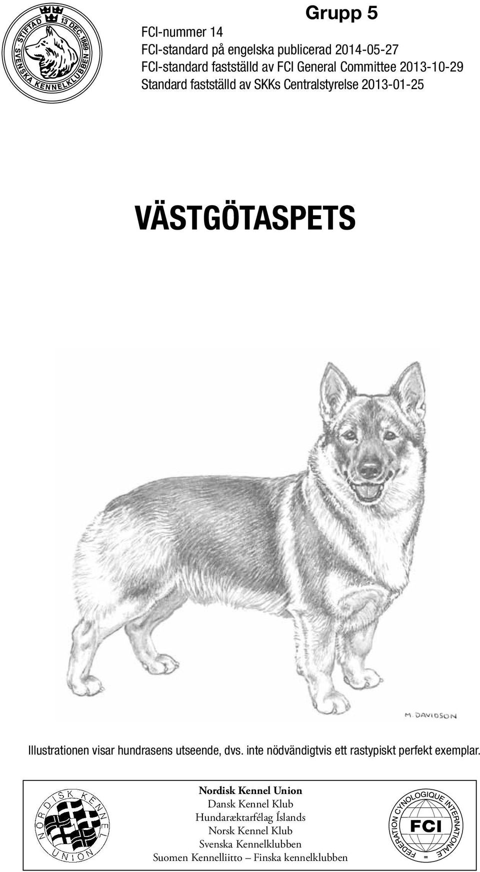 hundrasens utseende, dvs. inte nödvändigtvis ett rastypiskt perfekt exemplar.