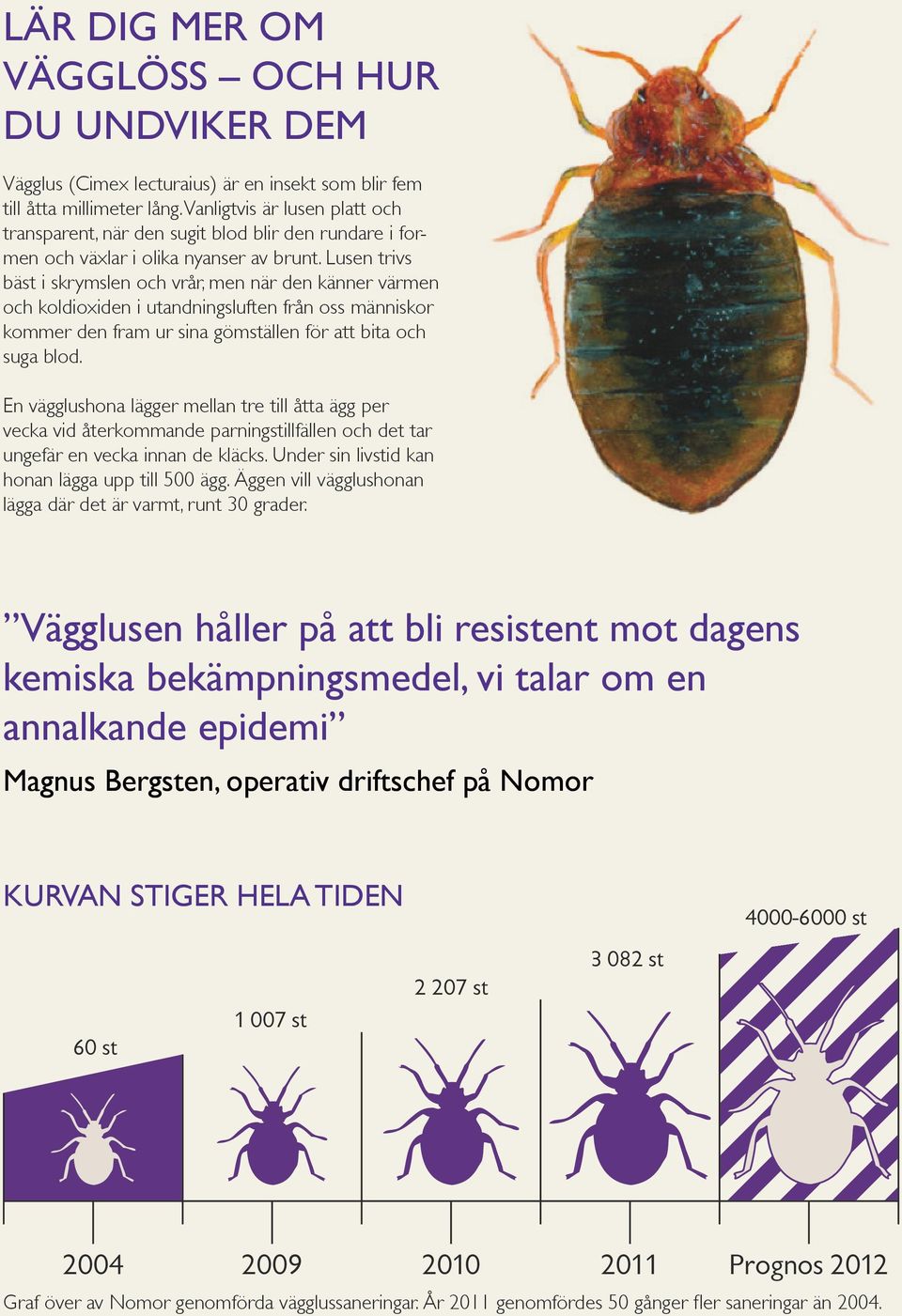 Lusen trivs bäst i skrymslen och vrår, men när den känner värmen och koldioxiden i utandningsluften från oss människor kommer den fram ur sina gömställen för att bita och suga blod.