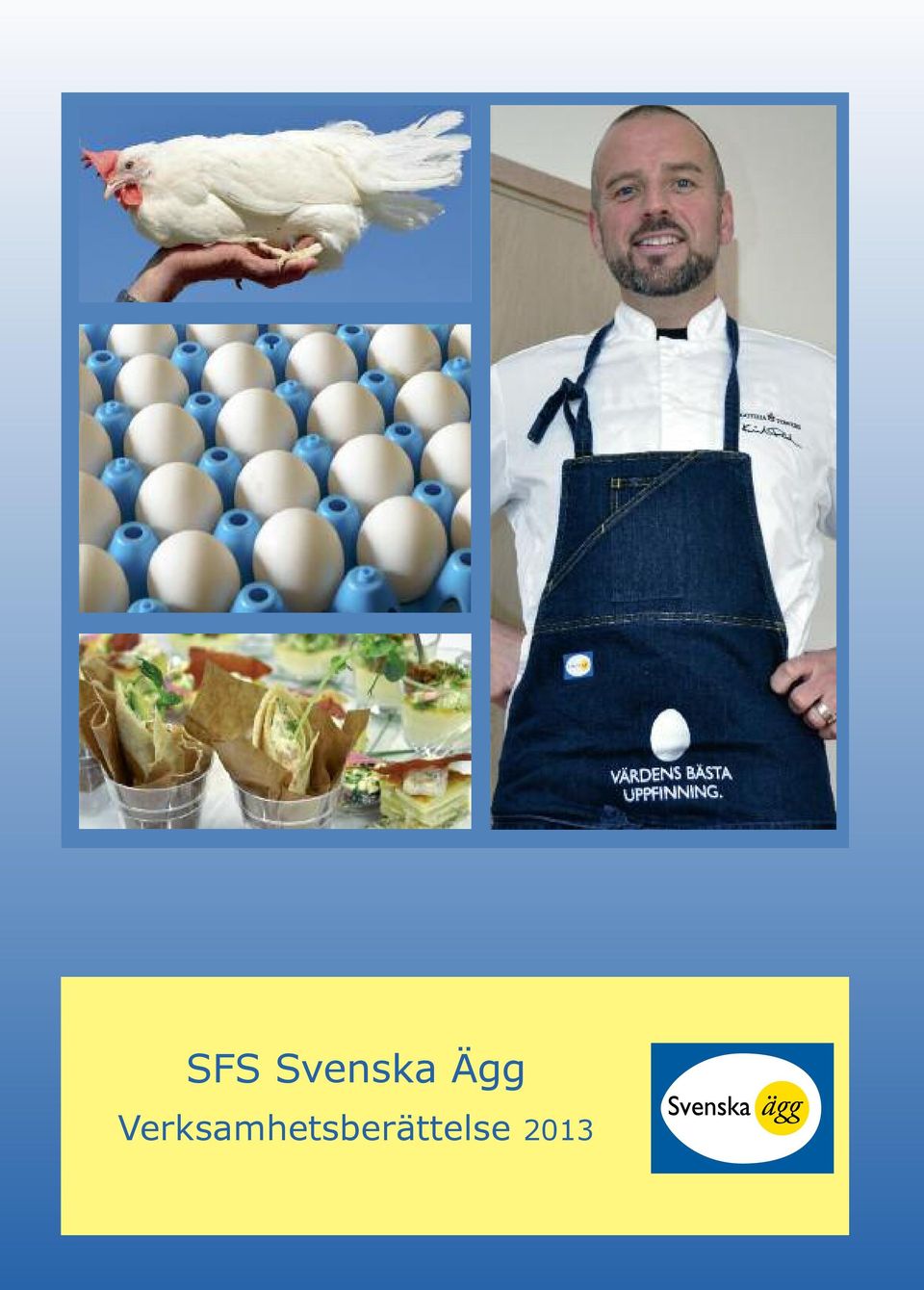 SFS Svenska Ägg Verksamhetsberättelse PDF Free Download