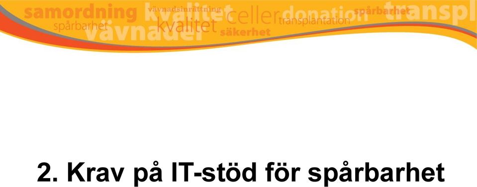 IT-stöd