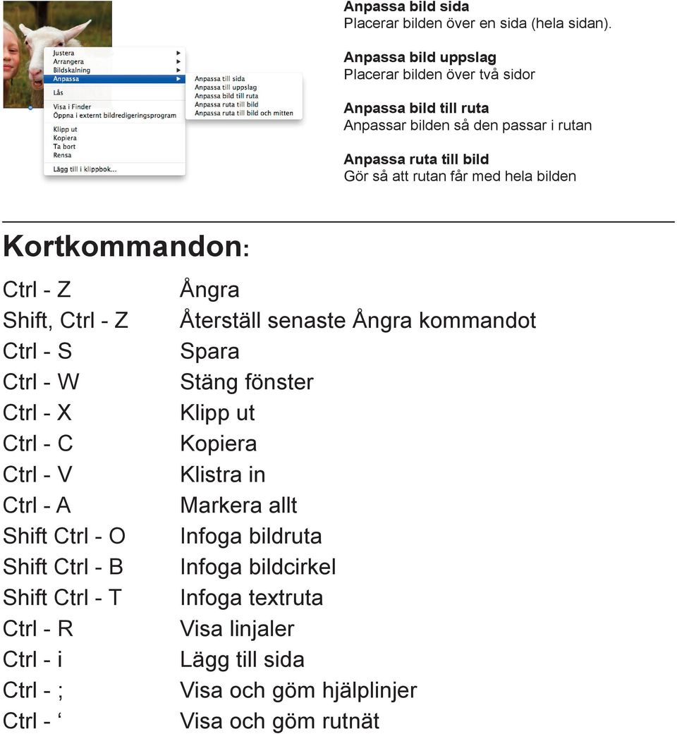 med hela bilden Kortkommandon: Ctrl - Z Ångra Shift, Ctrl - Z Återställ senaste Ångra kommandot Ctrl - S Spara Ctrl - W Stäng fönster Ctrl - X Klipp ut Ctrl