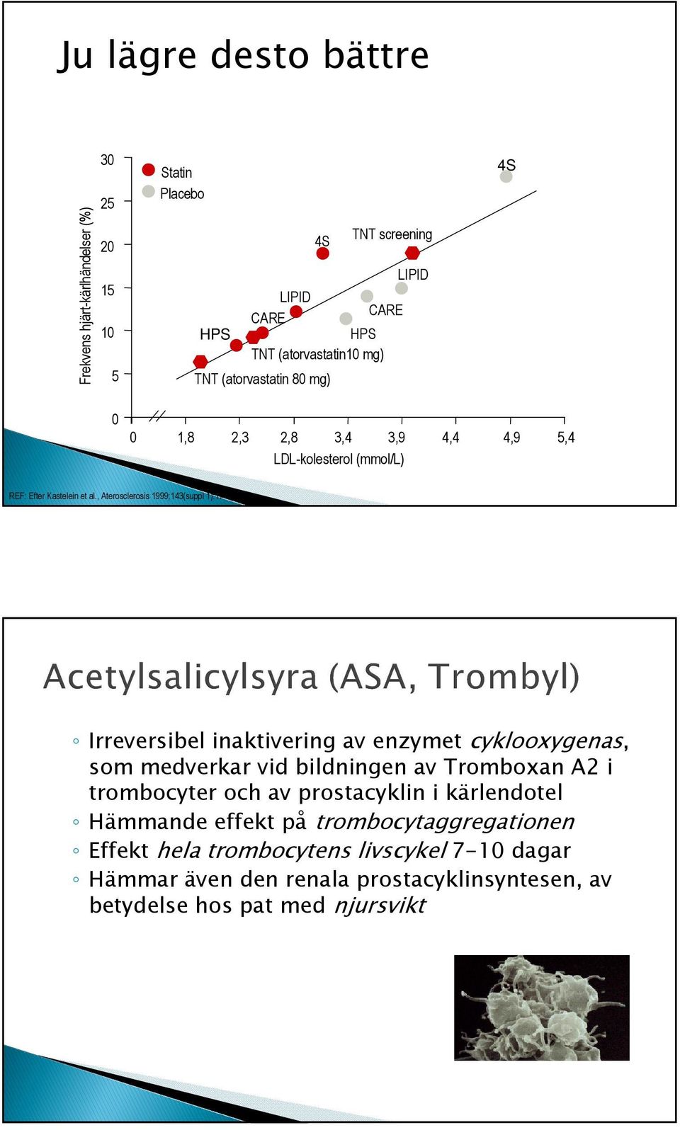 , Aterosclerosis 1999;143(suppl 1):17-21.
