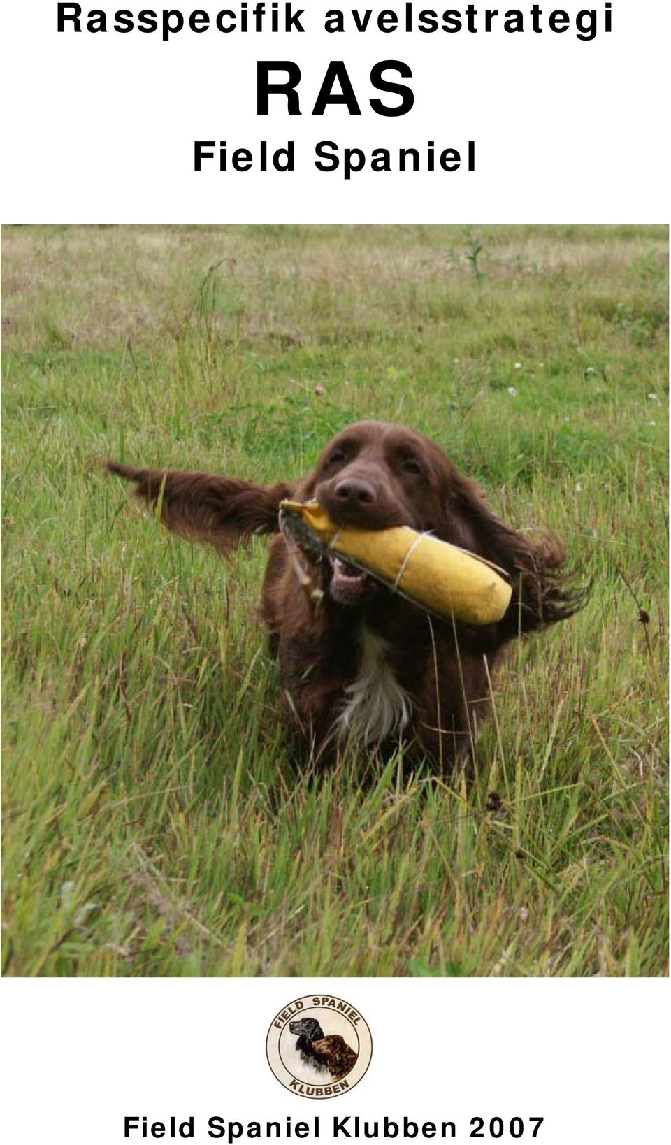 Field Spaniel