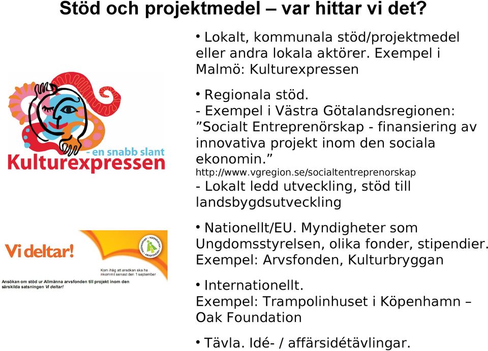 - Exempel i Västra Götalandsregionen: Socialt Entreprenörskap - finansiering av innovativa projekt inom den sociala ekonomin. http://www.vgregion.