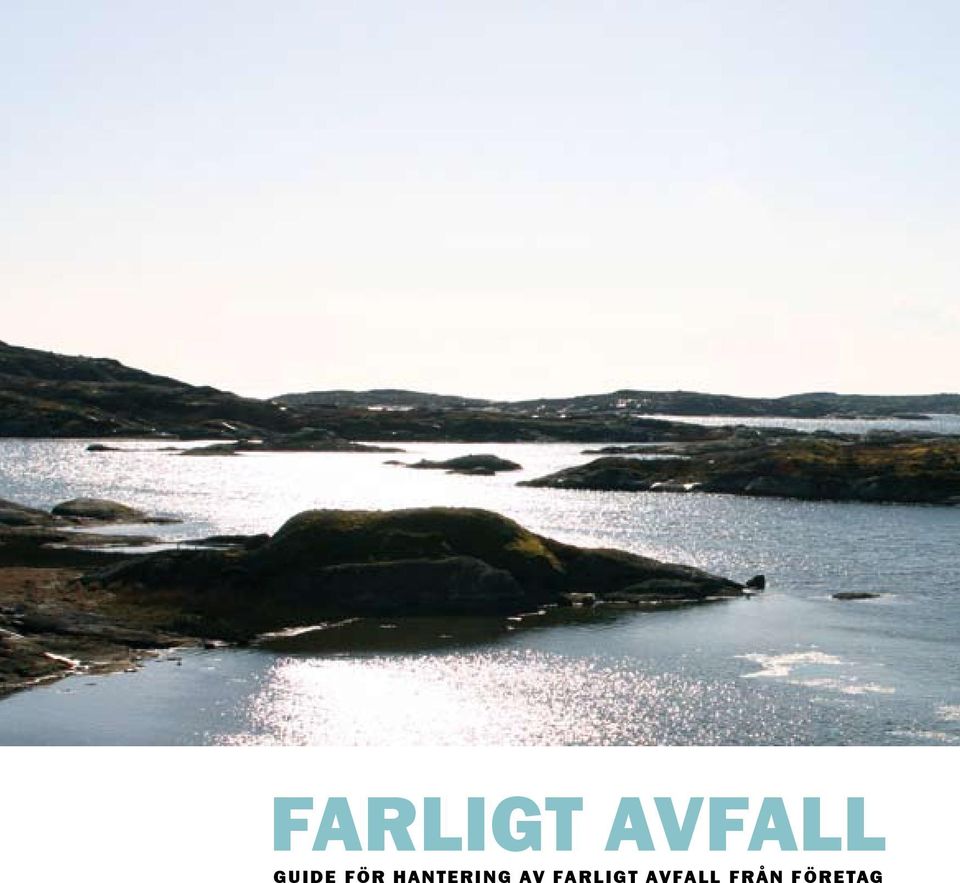 farligt avfall guide för hantering av farligt avfall från företag - PDF  Gratis nedladdning