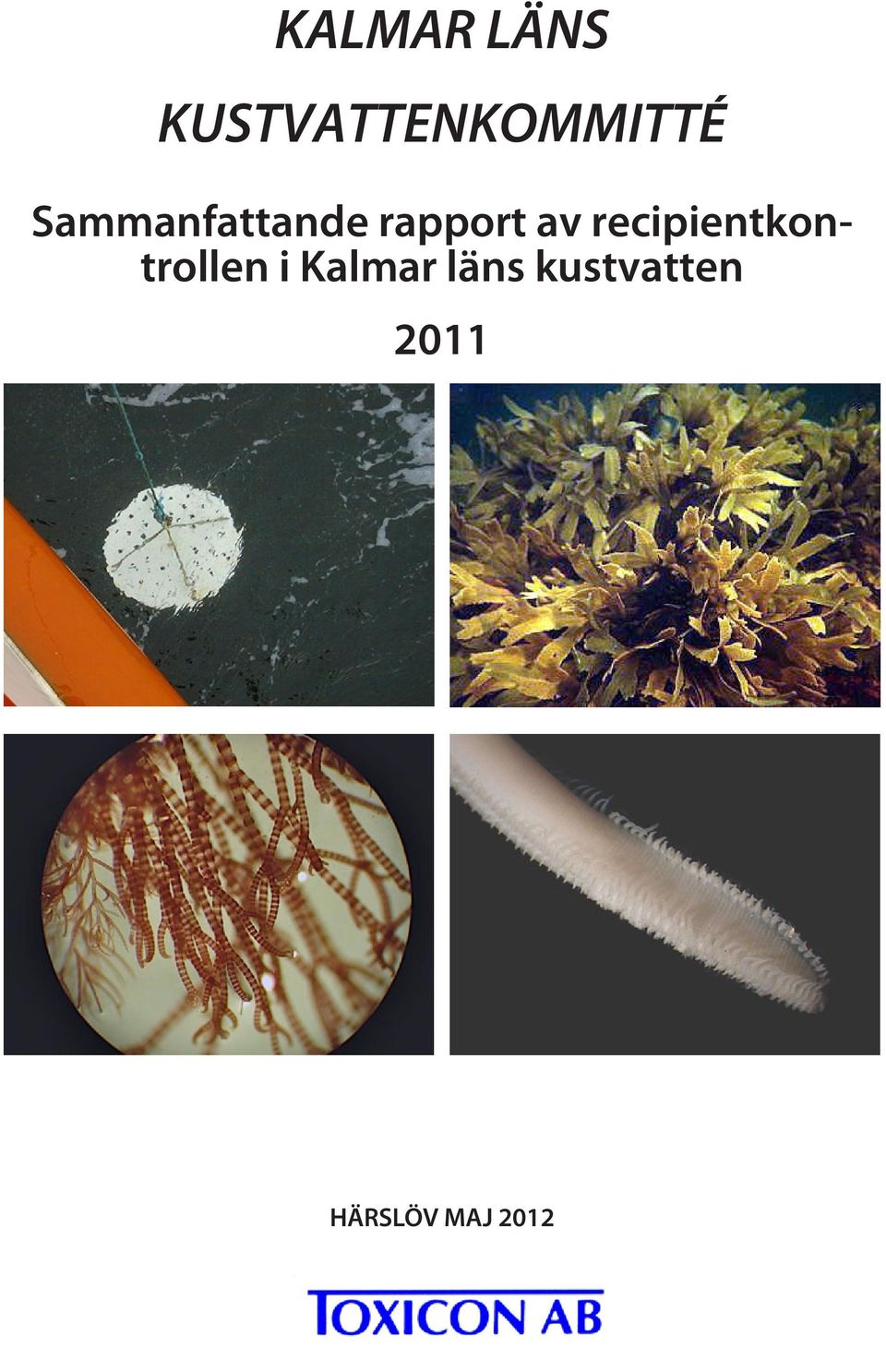 Sammanfattande rapport av