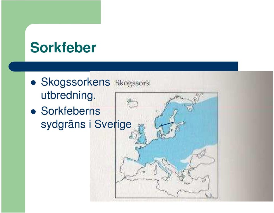 Sorkfeberns