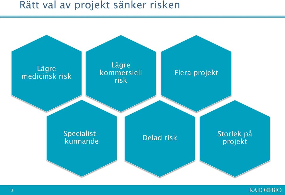 kommersiell risk Flera projekt