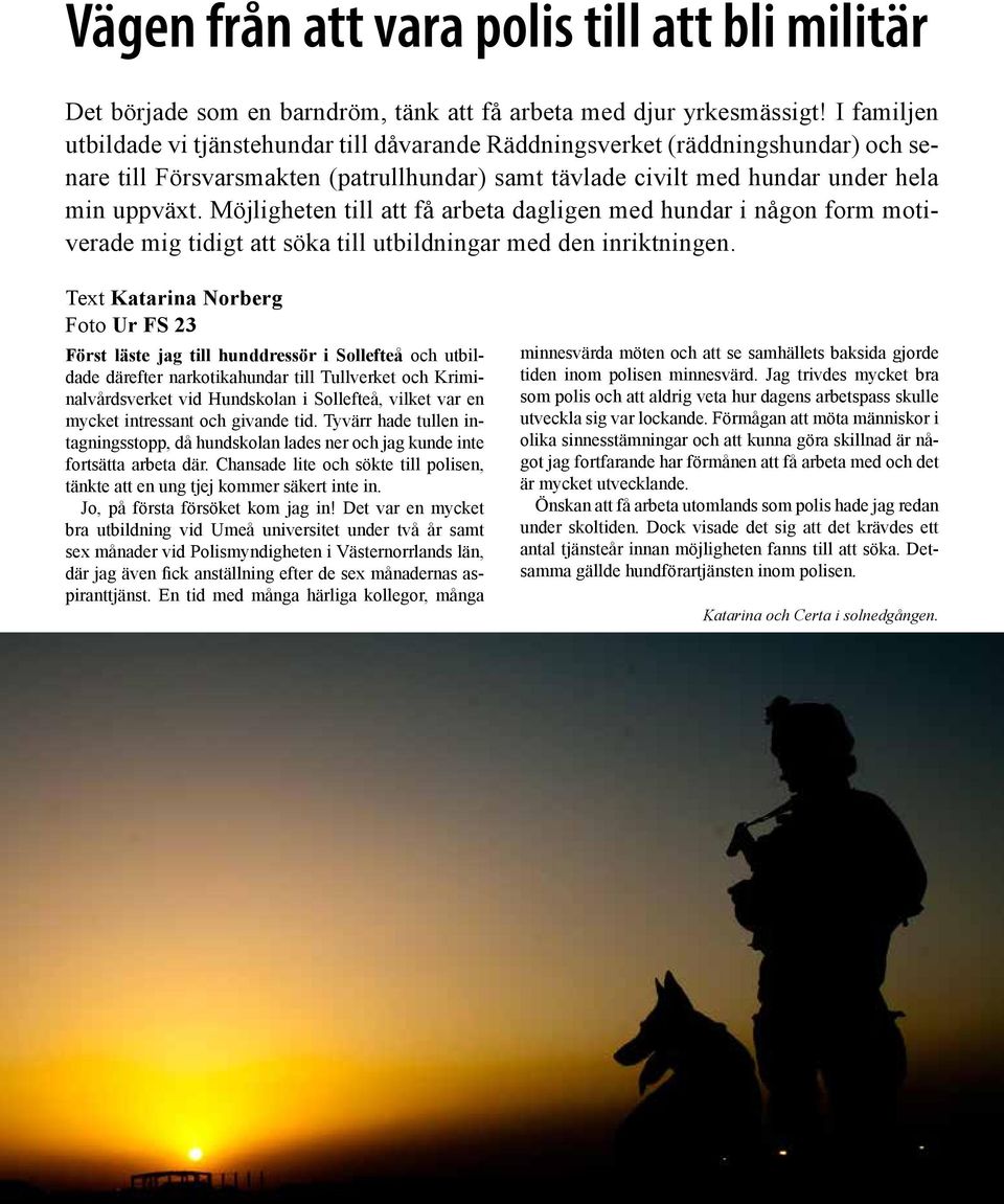 Möjligheten till att få arbeta dagligen med hundar i någon form motiverade mig tidigt att söka till utbildningar med den inriktningen.