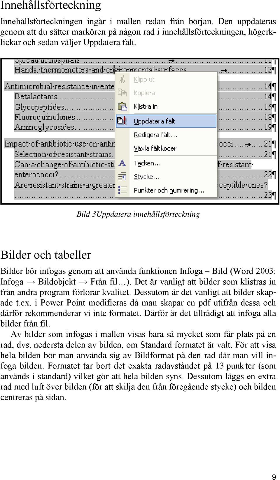 Bild 3Uppdatera innehållsförteckning Bilder och tabeller Bilder bör infogas genom att använda funktionen Infoga Bild (Word 2003: Infoga Bildobjekt Från fil ).