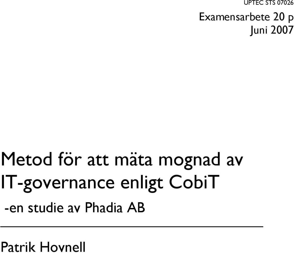 mognad av IT-governance enligt