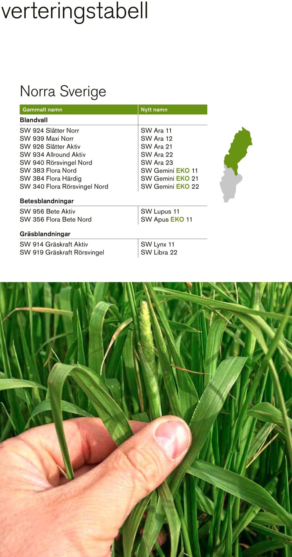 Aktiv SW 356 Flora Bete Nord Gräsblandningar SW 914 Gräskraft Aktiv SW 919 Gräskraft Rörsvingel Nytt namn SW Ara 11 SW Ara 12