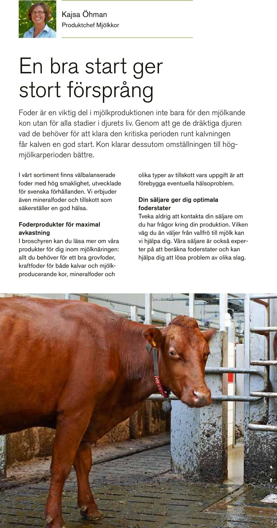 I vårt sortiment finns välbalanserade foder med hög smaklighet, utvecklade för svenska förhållanden. Vi erbjuder även mineral foder och tillskott som säkerställer en god hälsa.