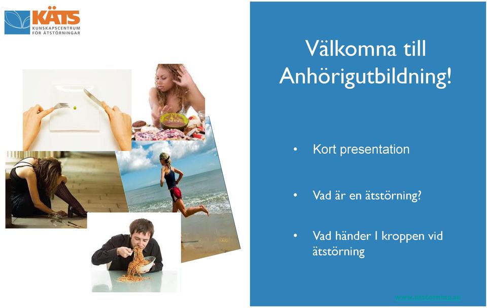 Kort presentation Vad är