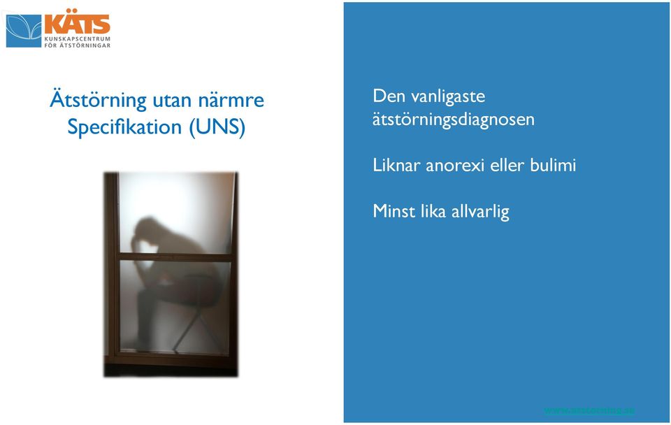 vanligaste ätstörningsdiagnosen