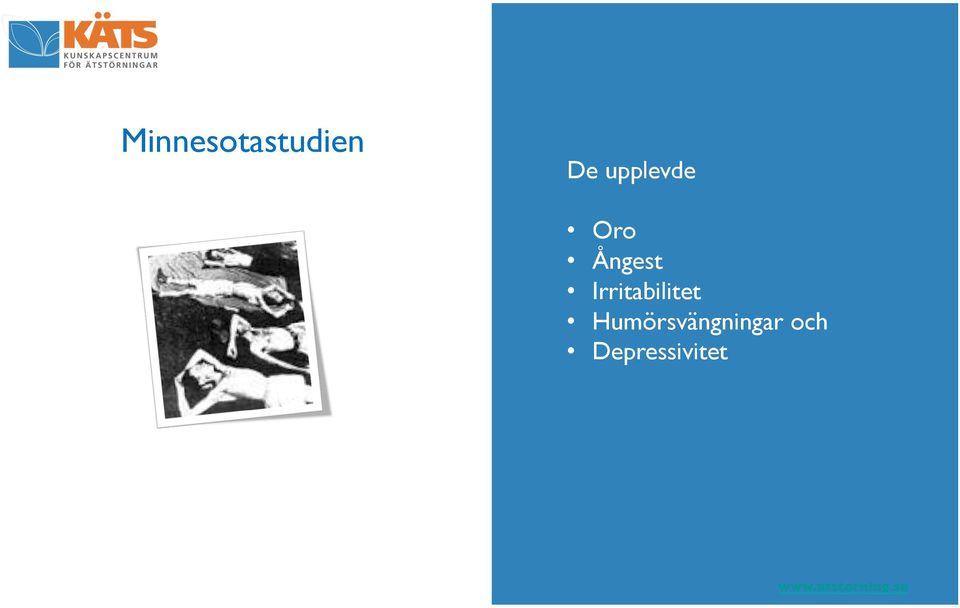 Irritabilitet