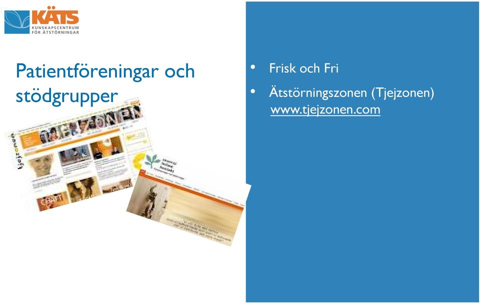 Fri Ätstörningszonen