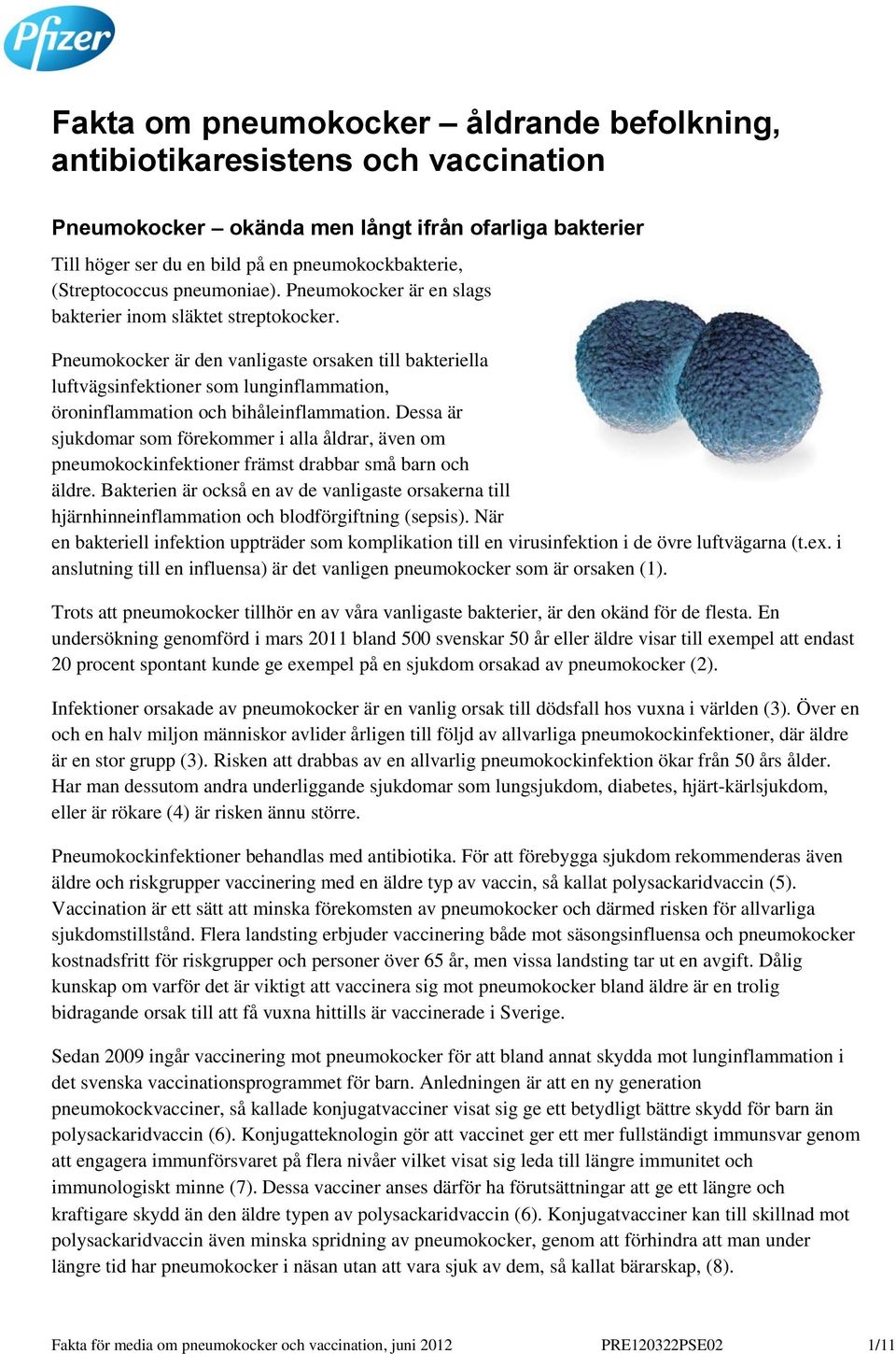 Pneumokocker är den vanligaste orsaken till bakteriella luftvägsinfektioner som lunginflammation, öroninflammation och bihåleinflammation.