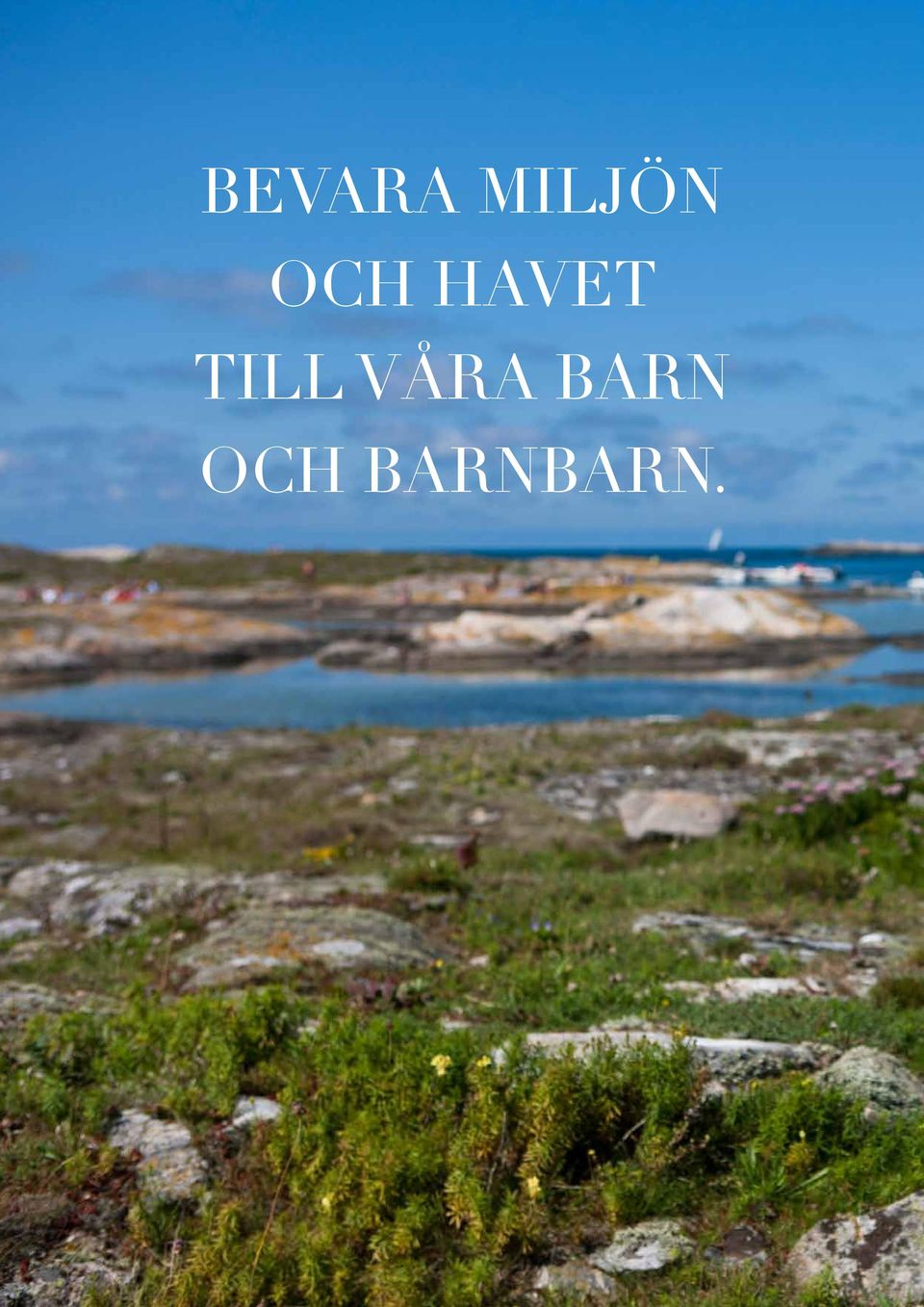HAVET TILL