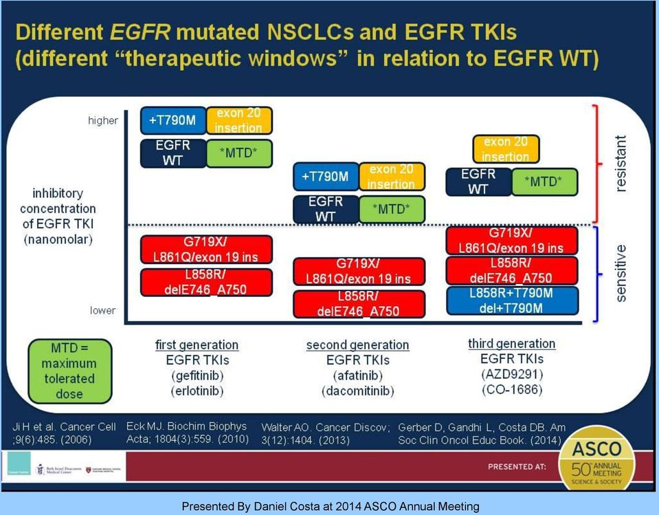 windows in relation to EGFR WT)